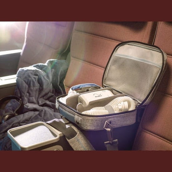 AirMini Premium Carry Bag