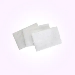 Front View of ResMed CPAP Filters for AirSense 10 CPAP Machine