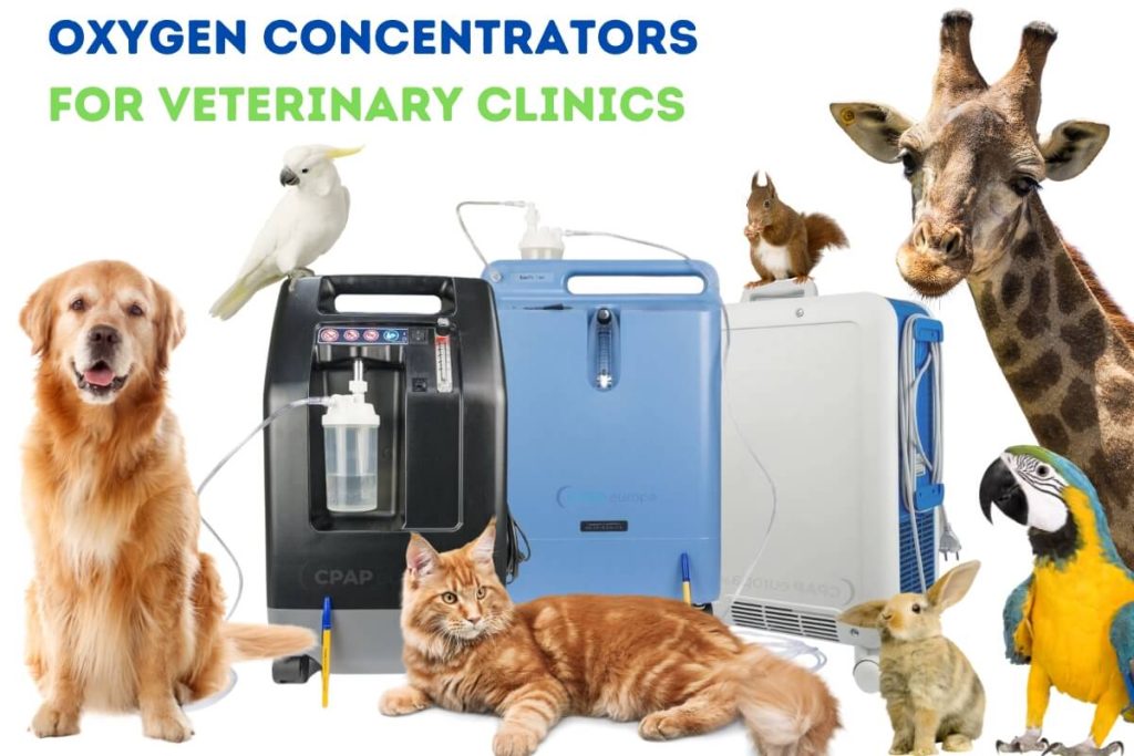 Oxygen Concentrators for Veterinary Clinics - Vet O2 Equipment - Respiratory Store Europa